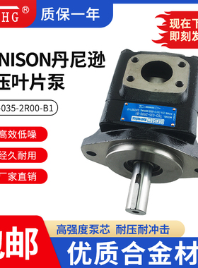 DENISON丹尼逊 T6D-020-1R00/1R01/1R02/1R03-B1 高压叶片泵