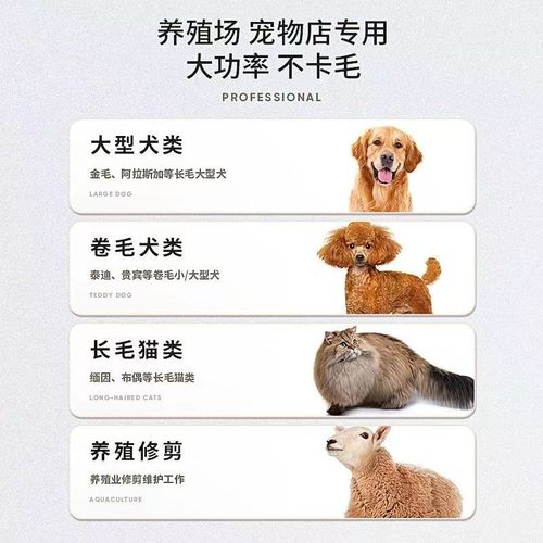 专业狗狗剃毛器宠物电推剪猫咪泰迪大型犬大功率电推子宠物店专用
