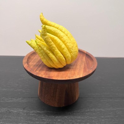 放佛手柑的木质托盘器皿瓜果花瓶高颜值家用实木盘高脚桌面摆放小