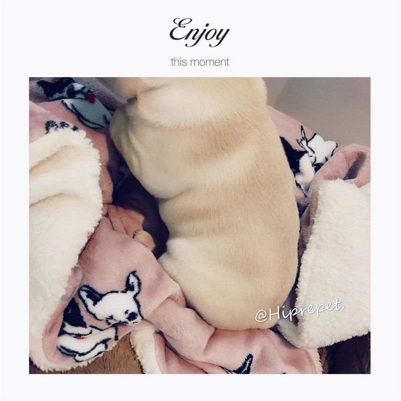 秋冬宠物棉被小狗猫咪保暖被子双层加厚羊羔绒毛毯狗窝棉垫抱毯,宠物/宠物食品及用品,猫狗垫子,淘宝优惠券,粉丝福利购,淘宝优惠卷