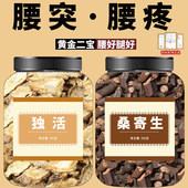 独活桑寄生中药材茶包9克6g正品 槲奇生腰椎泡间盘水突出煲汤杜仲