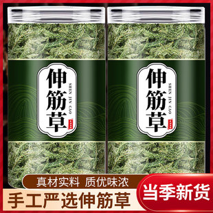 伸筋草中药材野生新鲜的功效与作用小舒筋草透骨草泡脚远志益智仁