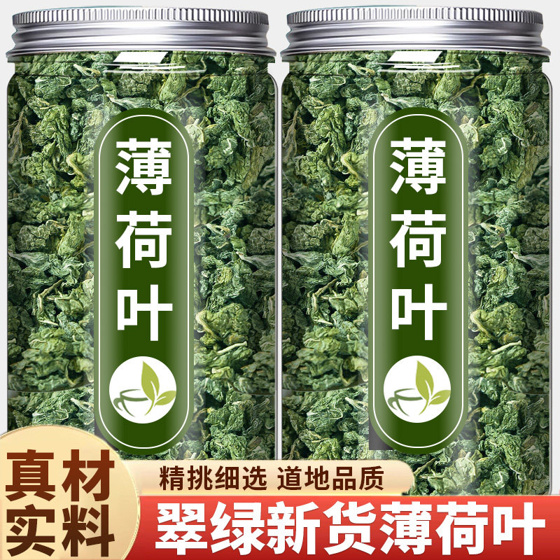 新鲜薄荷叶干茶散装非特级图片