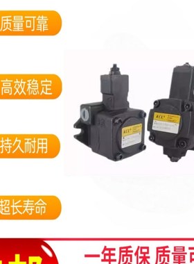 注塑机叶片泵VPKC-F23/F40/F30/F26/F20-A4/A3/A2/A1-01叶片泵