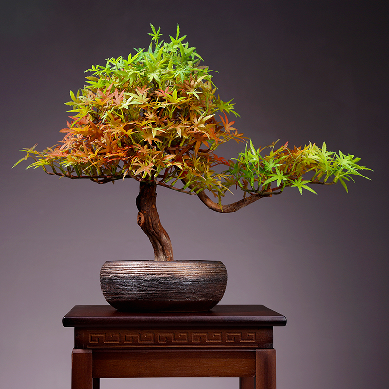 客厅迎客松植物盆景装饰室内桌面仿真绿植盆栽假花酒店摆设艺术品