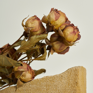 玫瑰干级感 产品拍摄道具小美甲拍照装饰束客厅摆设