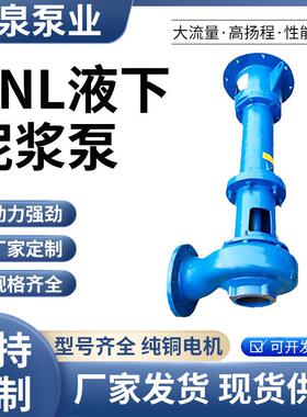 PNL液下泥浆泵鱼塘清淤泵立式铸铁加厚泵体耐磨合金大流量高压泵