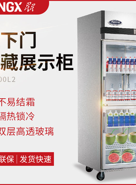 格林斯达/广东星星冰箱冷藏柜SG500L2玻璃门保鲜冰箱展示柜陈列柜