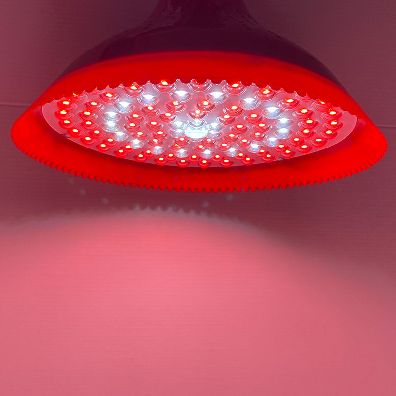 ld生鲜猪肉灯冷库冻货海鲜灯卤菜熟食店灯超市蔬菜水果吊灯,家装灯饰光源,LED球泡灯,淘宝优惠券,粉丝福利购,淘宝优惠卷