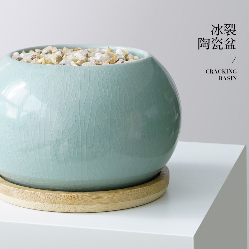 香水文心兰盆栽带花苞梦香兰浓香植物办公室桌面绿植花卉盆景四季