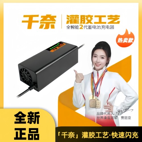 千奈电动车智能灌胶充电器快充