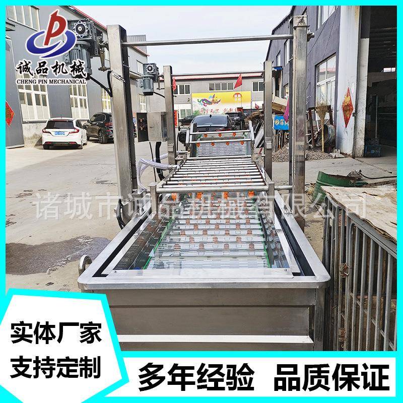 蔬菜气泡清洗机小龙虾桑叶樱花叶清洗机果蔬玉米深加工成套设备