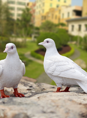 花园装饰 庭院摆件户外阳台 房顶装饰摆设树脂动物仿真鸽子摆件