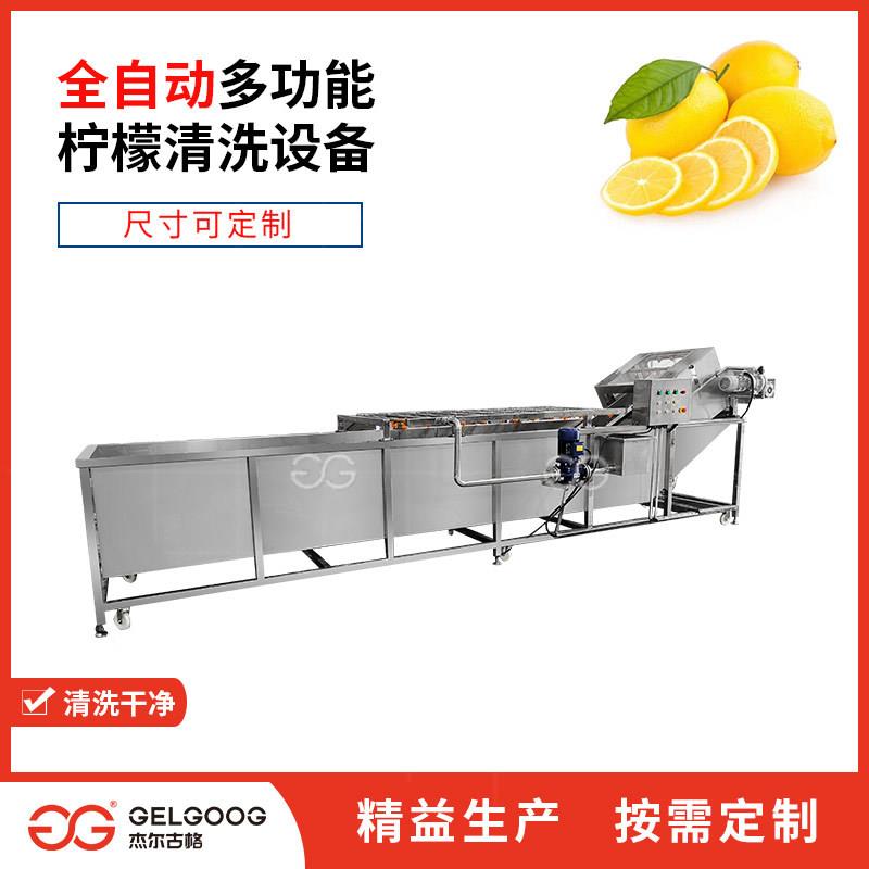 食品厂水果喷淋清洗机械柠檬清洗机全自动洗果机柠檬清洗设备