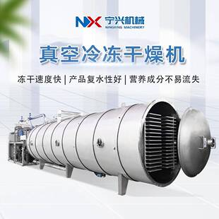 宁兴真空冷冻干燥机 商用紫菜蛋花汤冻干设备 大型果蔬脆冻干机器