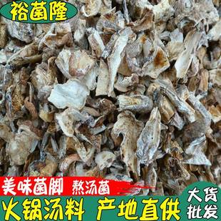 美味菌脚 菌角 火锅熬汤菌 菌根 美味脚 美味牛肝菌