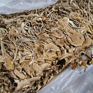 福建古田开伞茶树菇 3号开伞茶树菇干货农产品各规格食用菌