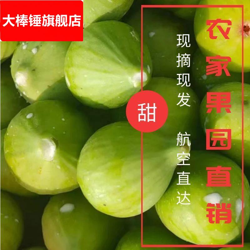 生无花果新鲜现摘 不熟小青果无花果白汁树液原浆煲汤药用1斤包邮