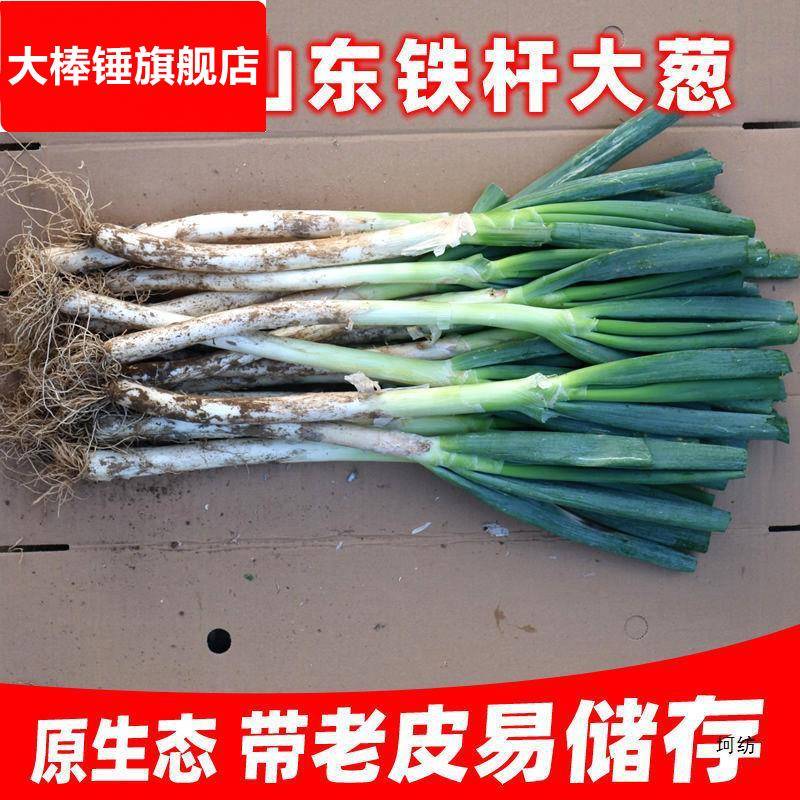 山东大葱新鲜甜葱级5/9斤铁杆大葱非章丘长白毛葱蘸酱嫩葱包邮