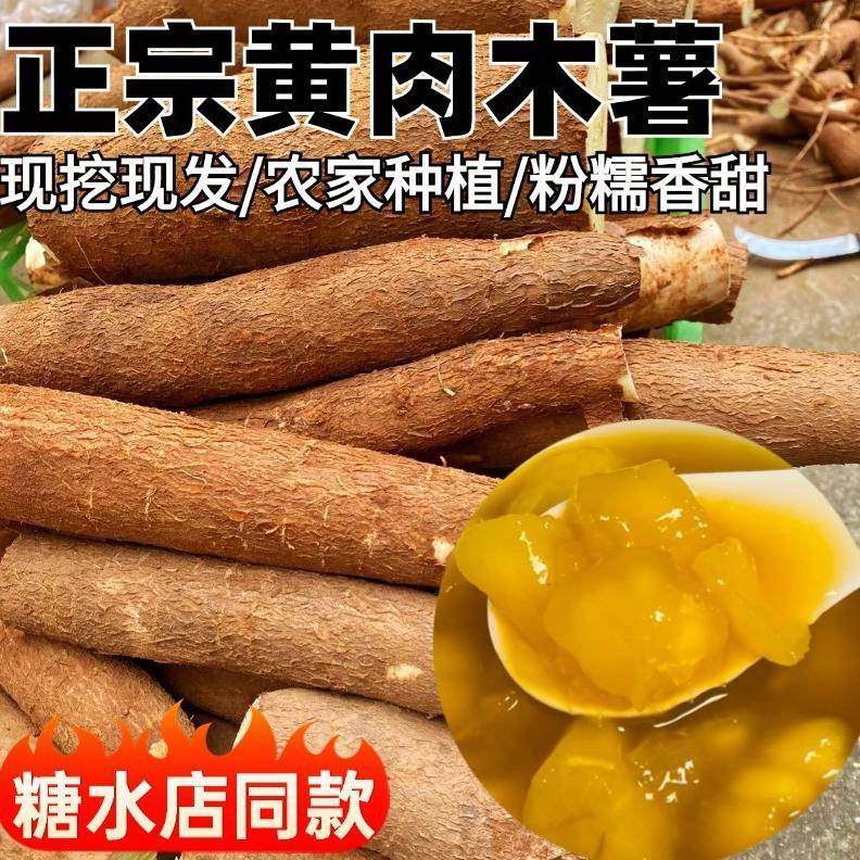 黄心木薯新鲜黄肉蛋黄广西特产农家种植现挖现发粉糯香甜顺丰包邮