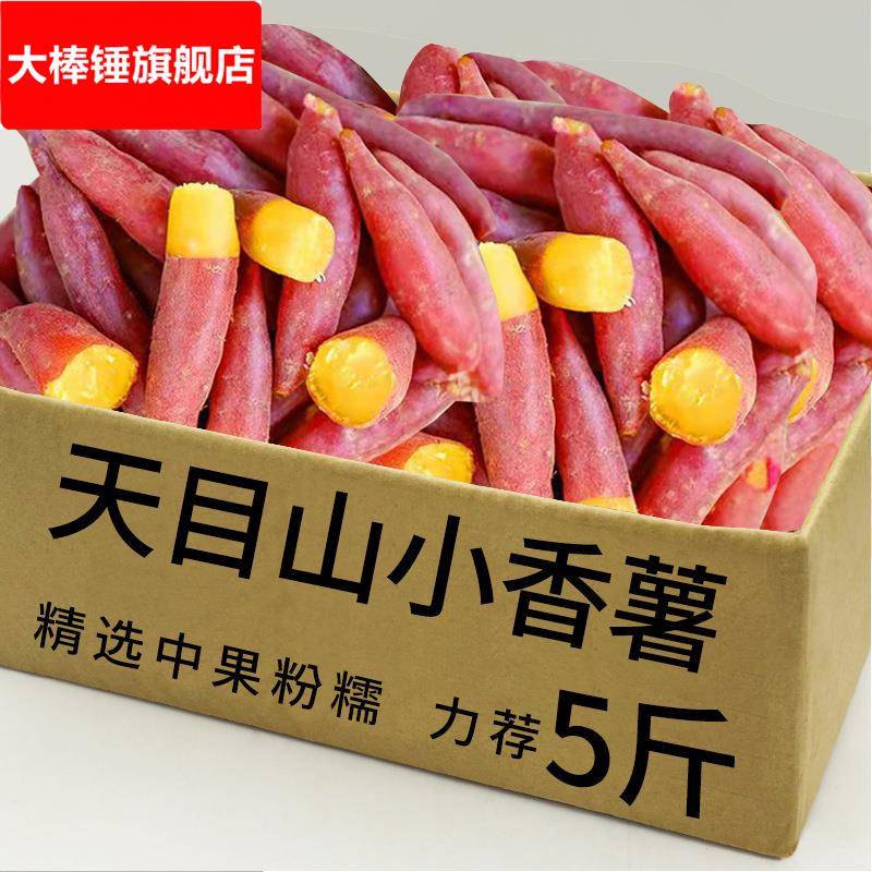 临安天目山小香薯甜黄心板栗红薯新鲜地瓜粗粮番薯山芋