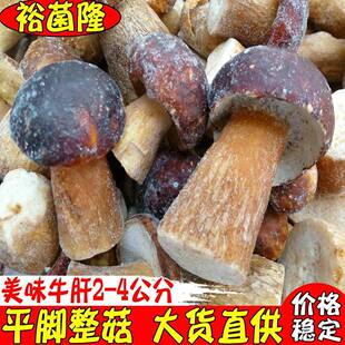 4公分 平脚整菇2 酒店美味牛肝菌冻品 美味牛肝菌