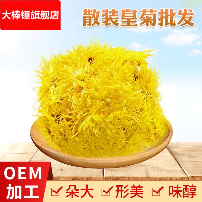 工厂供应产地直发修水金丝皇菊一朵一杯散装大货黄菊花现货