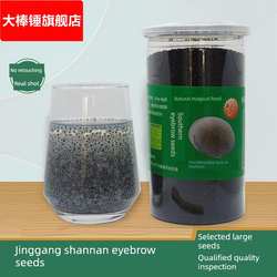 井冈山南眉籽江西特产兰香子明列仔精选罗勒籽饱腹泡水果牛奶花茶