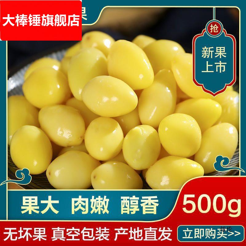 新鲜真空银杏仁500g白果银杏果保鲜白果米去壳熟的开心白果仁1