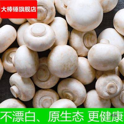 双孢菇现摘现发新鲜口蘑网红烤口蘑烧烤火锅时令蔬菜速卖通独立站