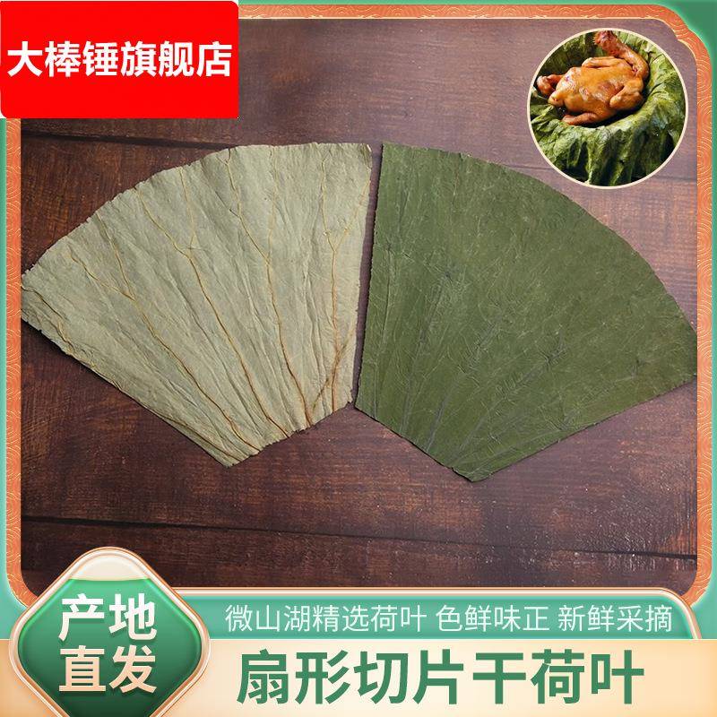 干荷叶包邮微山湖扇形切片荷叶糯米鸡包饭叫花鸡餐饮整张散装