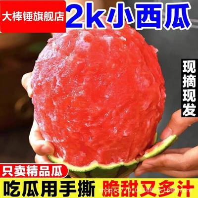现摘新鲜全美2k西瓜网红小糖丸小西瓜麒麟特小凤冰淇淋脆甜整箱