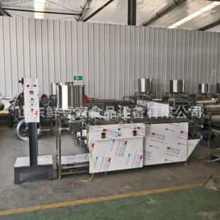 天豆腐皮机械豆制品加工设备 鑫豆皮浇注压制ZVT扒 机豆腐皮制作