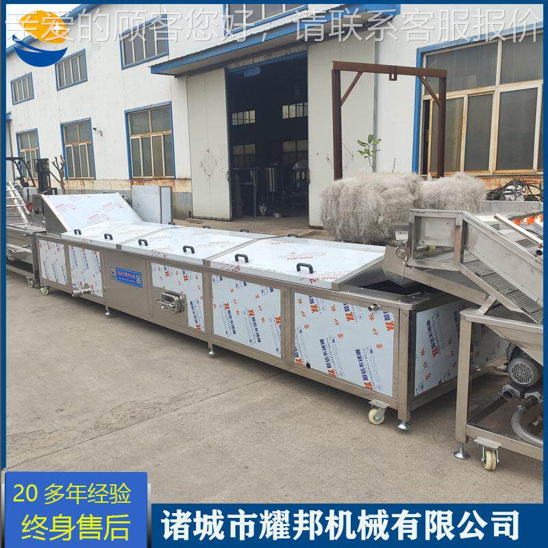 中药2000材天麻漂备烫蒸蒸煮机 竹笋加工设 肉制品海器鲜清洗煮流
