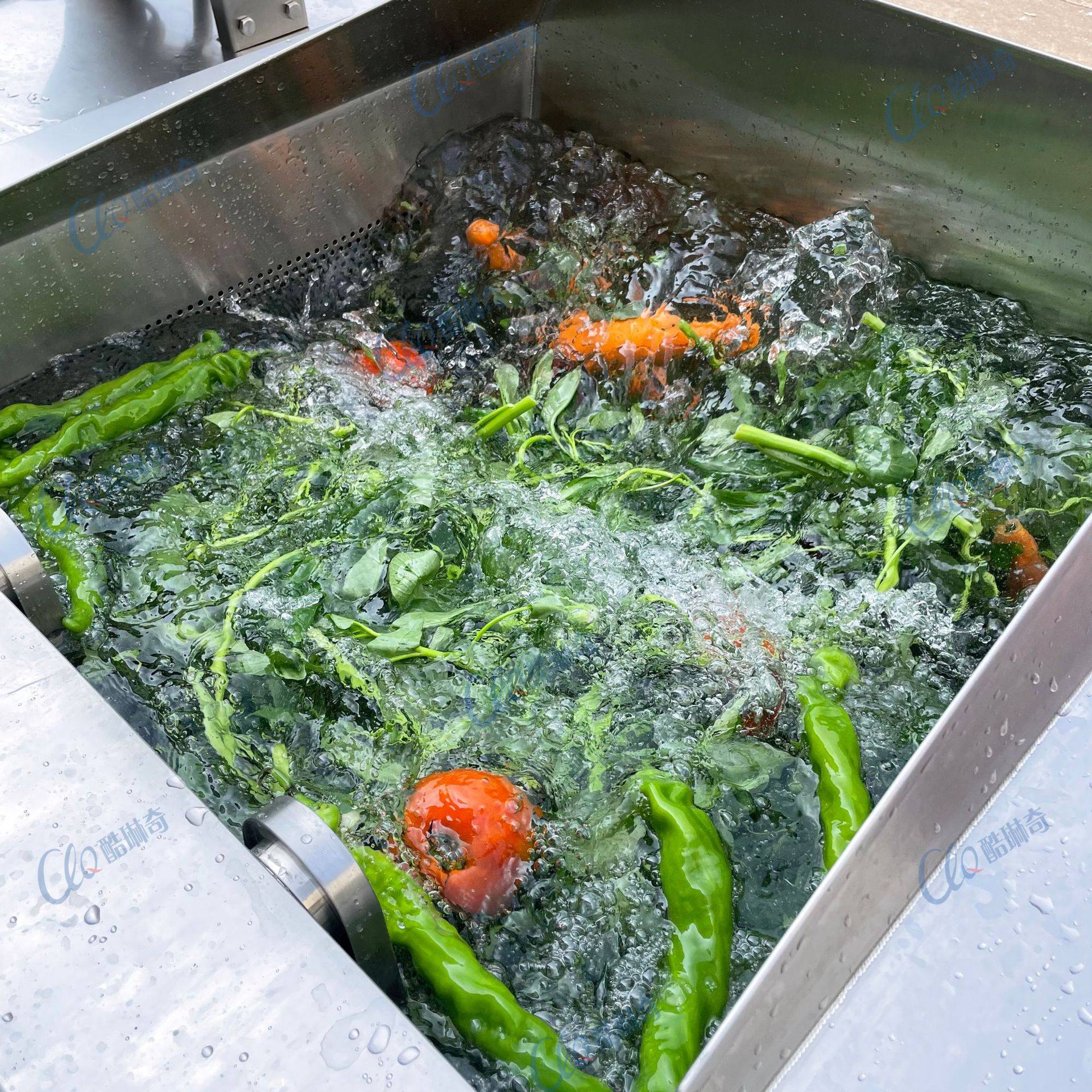 广西竹笋酸笋清洗机 冬笋笋片笋丝洗泥机果蔬去杂质去水垢洗白机,清洗/食品/商业设备,洗果机/洗菜机,淘宝优惠券,粉丝福利购,淘宝优惠卷