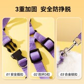宠物狗狗猫咪外出牵引绳胸背带摇摇乐胸背式 防丢栓绳卡通可爱狗链
