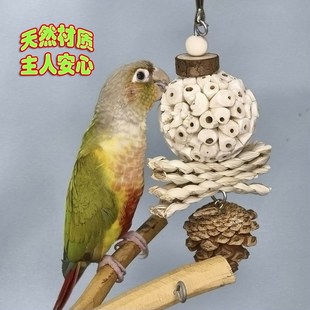 玄凤牡丹鹦鹉通草球啃咬玩具植物类根茎解闷益智磨牙健康觅食包邮