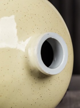 酒坛子景德镇陶瓷家用复古密封5斤装空酒瓶酒壶泡酒罐装白酒器具