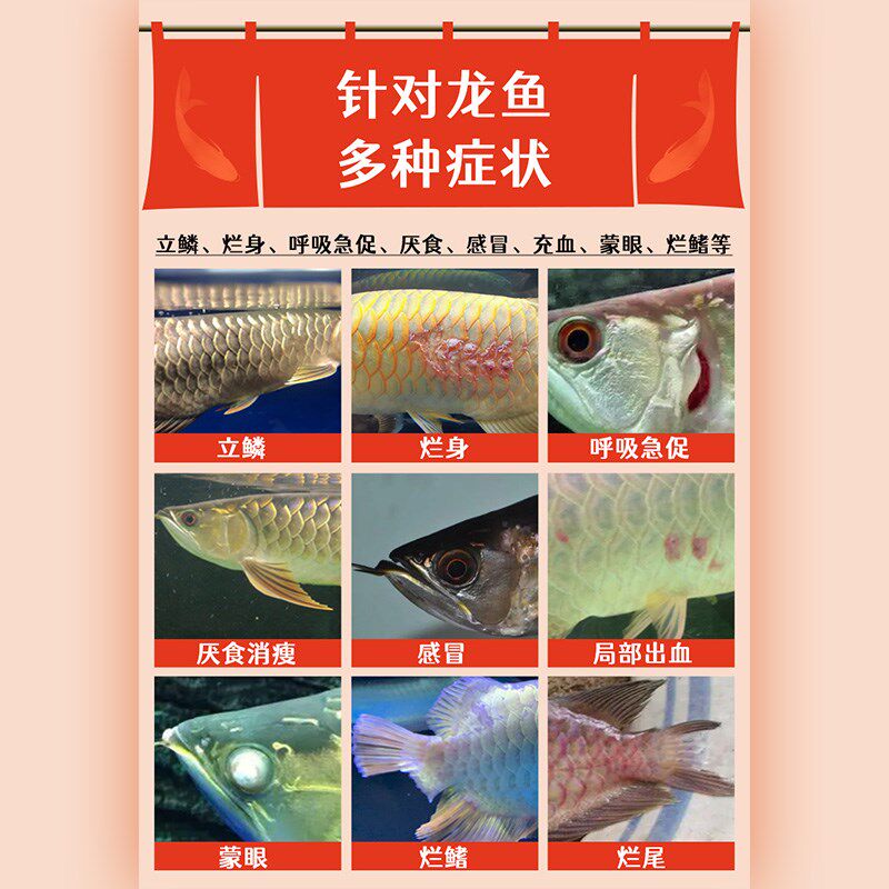 龙鱼专用药鱼缸寄生虫药水厌食烂尾蒙眼肠炎立鳞金龙红龙银龙鱼药