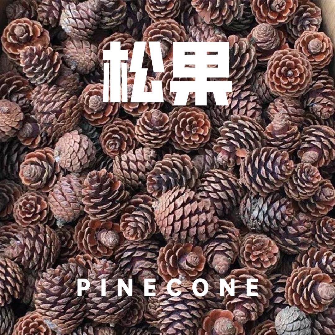 大量松果装饰圣诞野生松塔干花树枝幼儿园创意松果手工diy材料