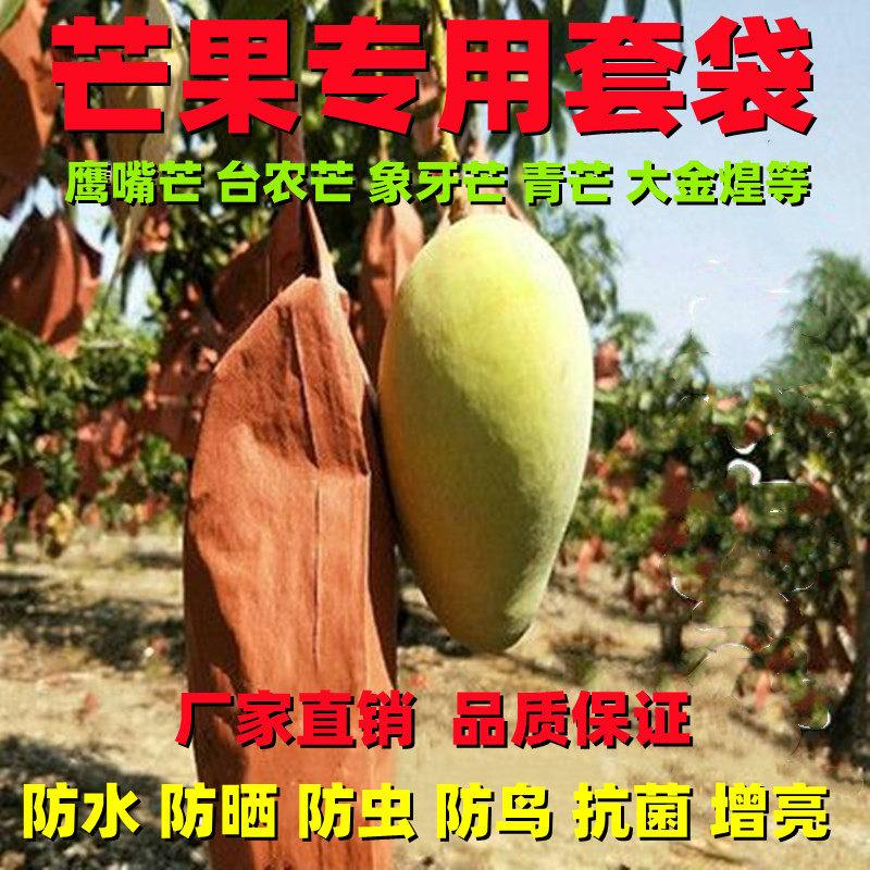 芒果专用套袋金煌芒防虫防晒专用水果袋子贵妃芒纸袋台农芒保护袋