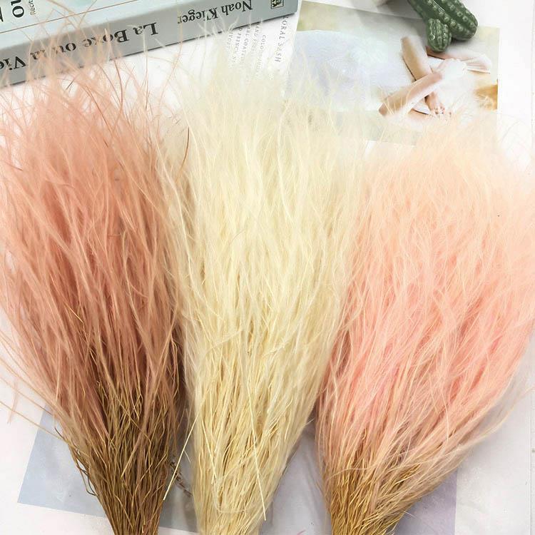 花掌柜永生花diy羽毛草婚礼现场花束配花材料迷雾草芦苇仙龙须草