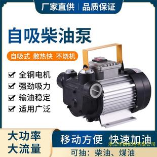 家用新款 鑄鋁大功率加油泵自吸電泵交流柴油液壓機(jī)油齒輪油泵銅線