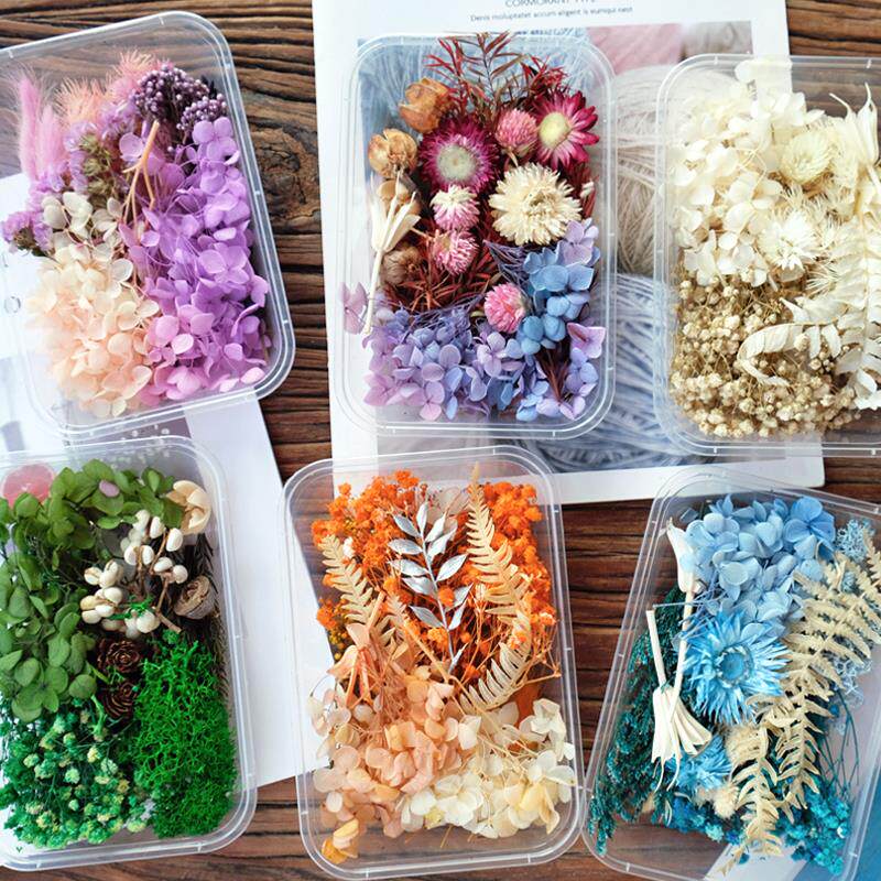 DIY花盒不朽干花3.8手工叶子真花胶植物蜡品牌覆古装饰画