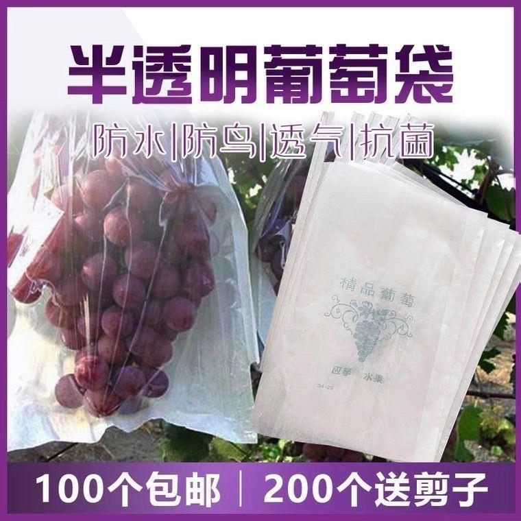 半透明葡萄套袋防虫防鸟莲雾保护透气育果袋子水果葡萄纸袋专用袋