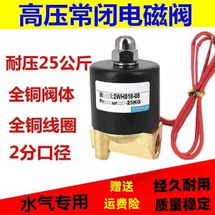 耐压25KG 2分 3分高压气阀 DC24V AC220V 2WH018 高压电磁阀