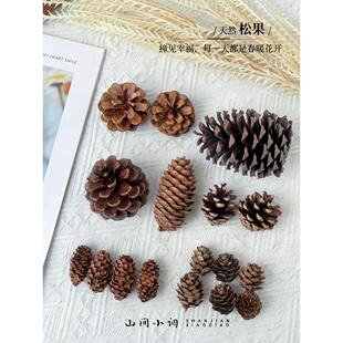 多种松果大小松果装饰手工制作松果松球圣诞松果拍摄道具diy材料