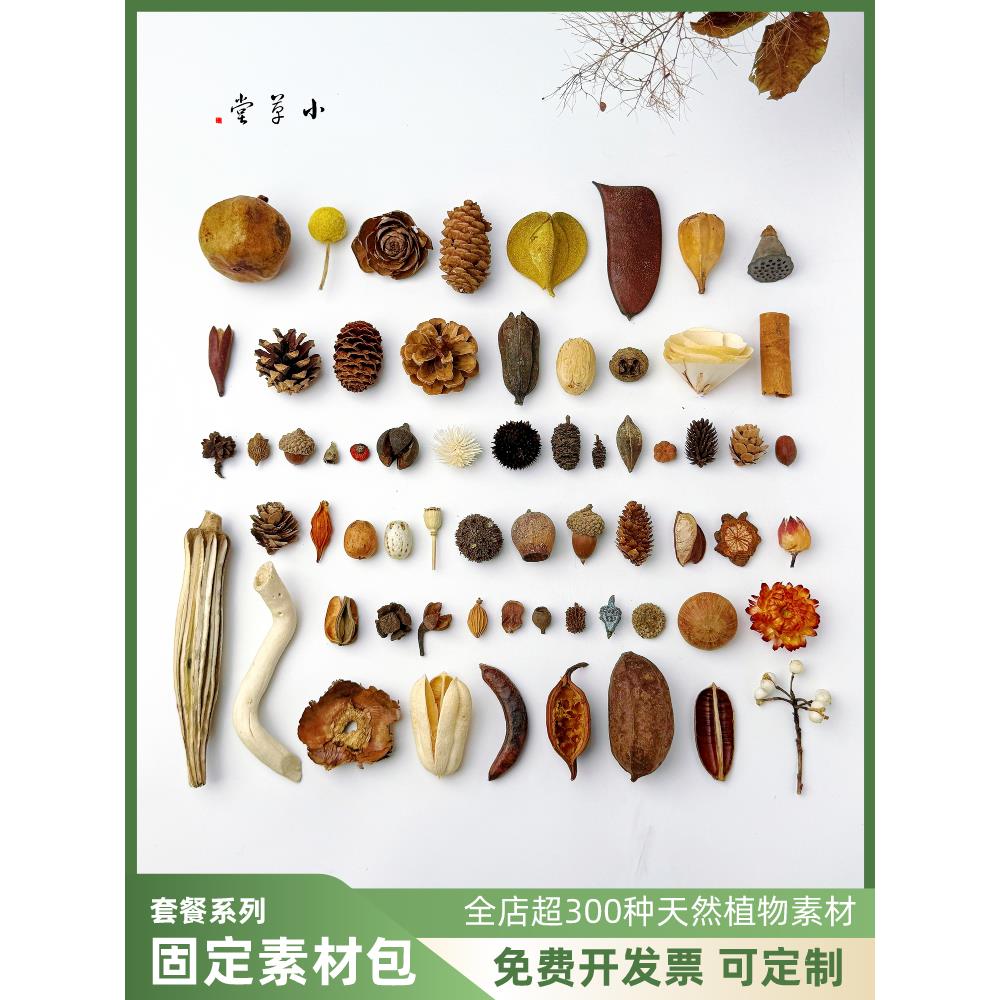 天然植物果子松果套装diy标本相框制作材料幼儿手工家居壁挂装饰
