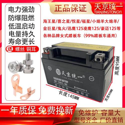 豪爵龙福星宇钻喜星悦星UU海王星UY豪迈女士125踏板摩托车电瓶12v