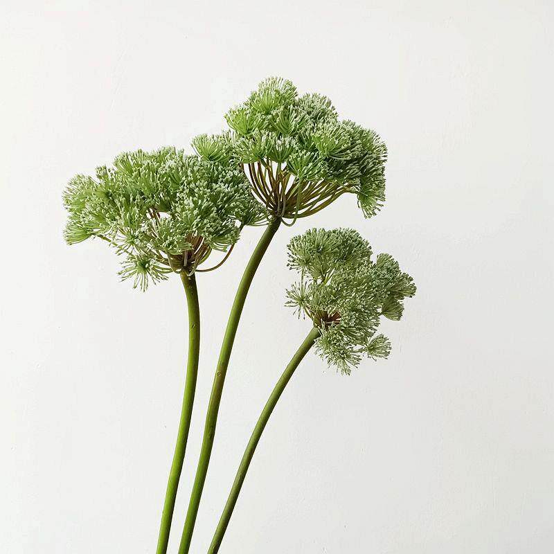 彷真单支葱球花材蕾丝花 花艺设计师插花材料酒店样板房装饰 绿色